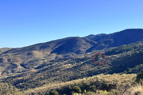 Finca i Tabernas, Almeria, Tabernas - € 2.345.000 | Ref: GVCFSA - foto 39
